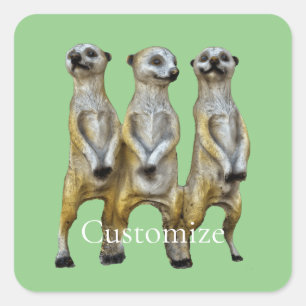 Sticker Carré 3 Meerkats debats Thunder_Cove