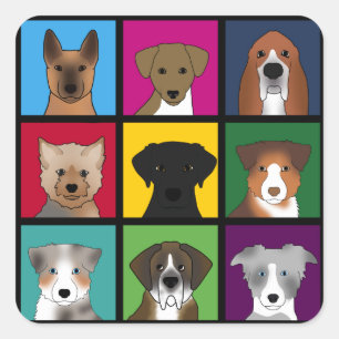 Sticker Carré 3x3 chiens