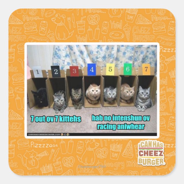 Sticker Carré 7 out ov 7 kittehs (Devant)