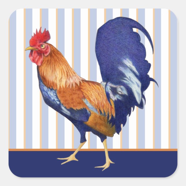 Sticker Carré à rayures de coq (Devant)