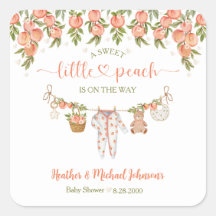 A Sweet Little Peach Clothesline Baby Shower