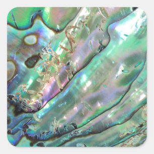 Sticker Carré Abalone