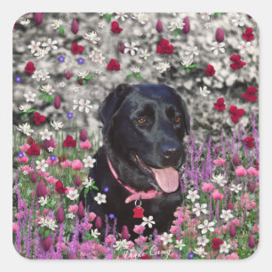 Sticker Carré Abby en Fleurs - Chien de laboratoire noir