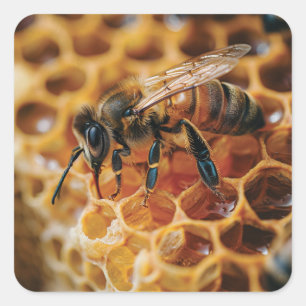 Sticker Carré Abeille de miel sur un nid d'abeille
