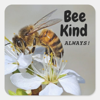 Sticker Carré Abeille Toujours !