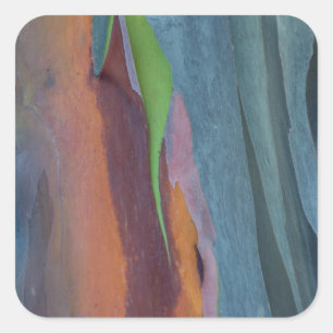 Sticker Carré Abstract de Rainbow Gum Tree