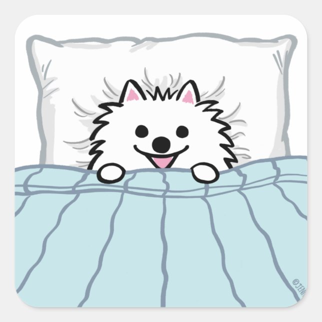 Sticker Carré Adorable Chien Poméranien blanc couché dans un lit (Devant)