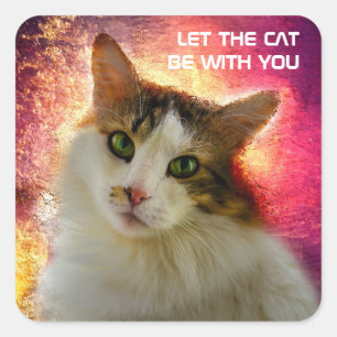 Sticker Carré Adorable Cute Calico Chat
