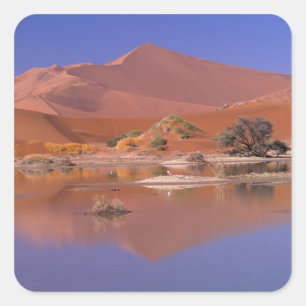 Sticker Carré Afrique, Namibie. Parc Namib-Naukluft. 2