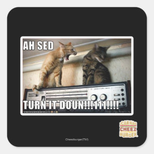 Sticker Carré Ah Sed Baisse-le ! !
