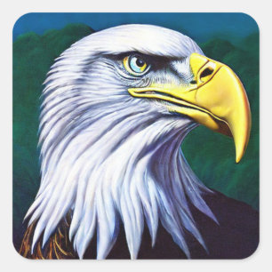 Sticker Carré Aigle