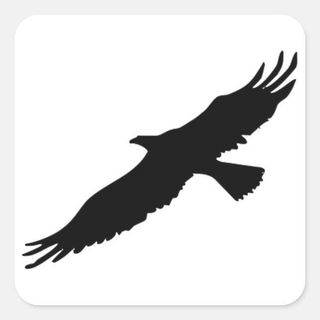 Sticker Carré Aigle noire et blanche (Devant)
