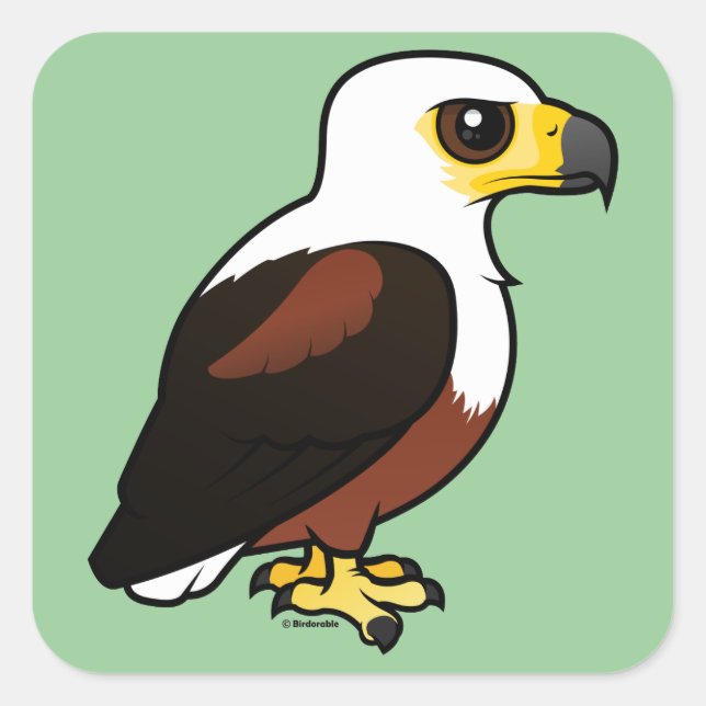 Sticker Carré Aigle-poisson africain Birdorable (Devant)