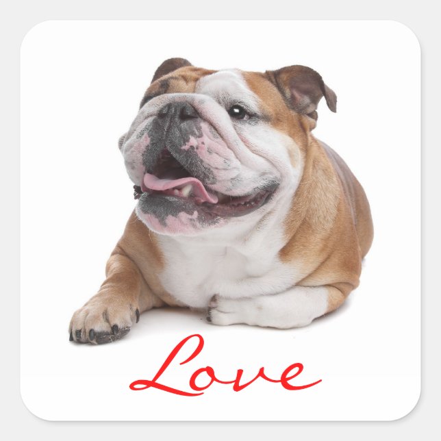 Sticker Carré Aimer Happy Bulldog Chien Chien Chien Chien Chien  (Devant)