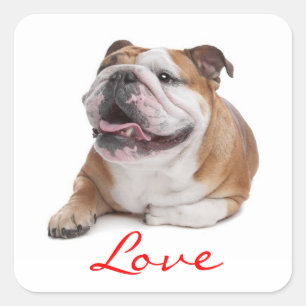 Sticker Carré Aimer Happy Bulldog Chien Chien Chien Chien Chien 