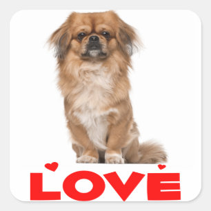 Sticker Carré Aimer Pekingese Chien Chien Chien Coeur Rouge Stic