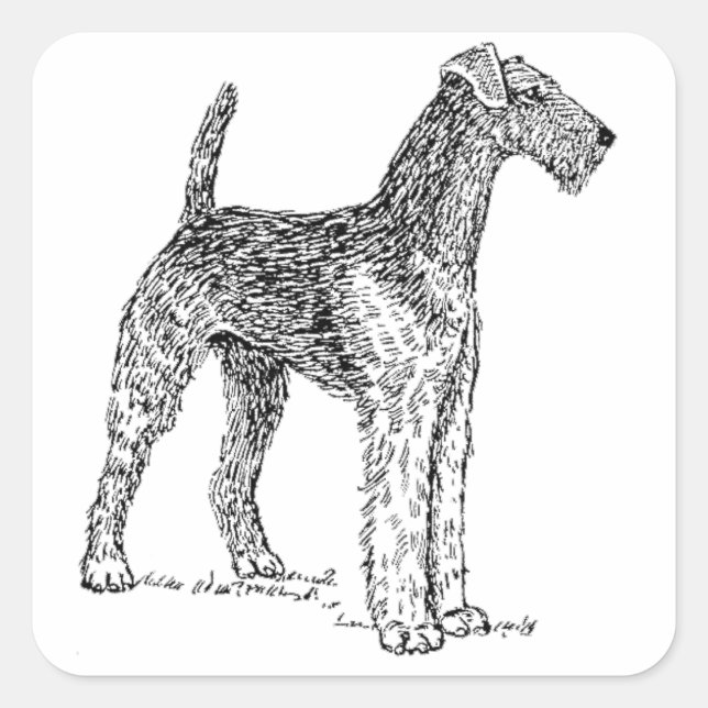Sticker Carré Airedale Terrier Dessin de chien élégant (Devant)