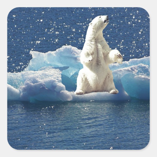 Sticker Carré Ajouter SLOGAN pour sauver les ours polaires Planè (Devant)
