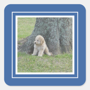 Sticker Carré Ajouter un Modèle photo personnalisé Royal Bleu &