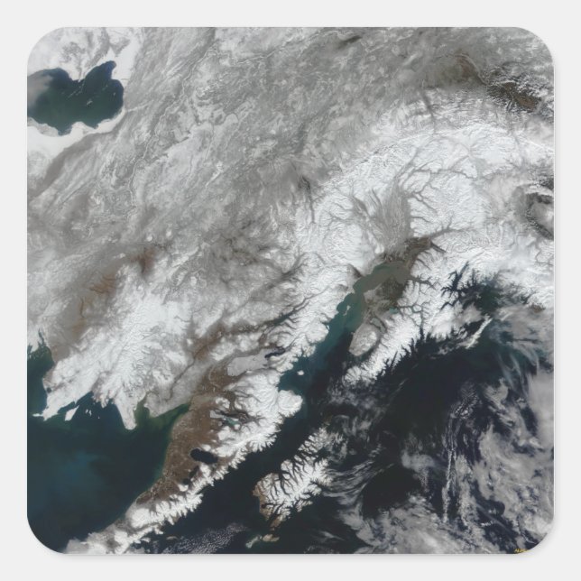 Sticker Carré Alaska (Devant)