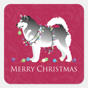 Sticker Carré Alaskien Malamute Chien Joyeux Noël Design