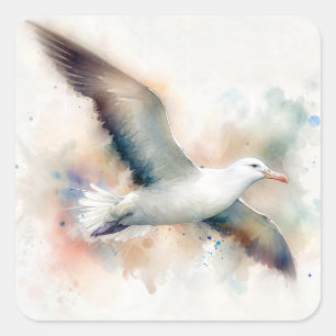 Sticker Carré Albatros Aquarelle Art