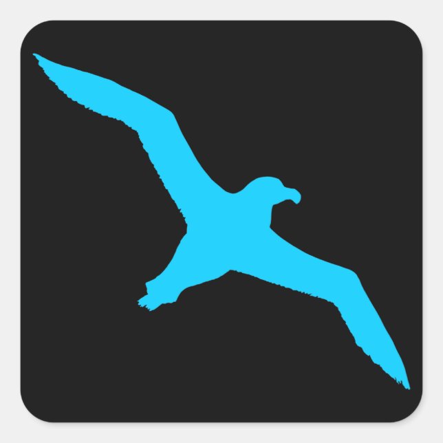 Sticker Carré Albatros Noir et Aqua (Devant)