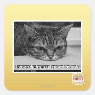 Sticker Carré Alerte de grumpage