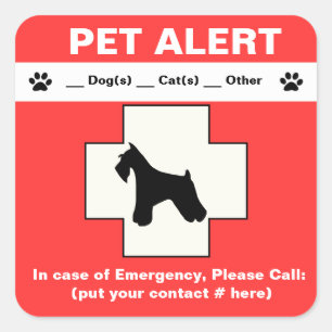 Sticker Carré Alerte pour animaux