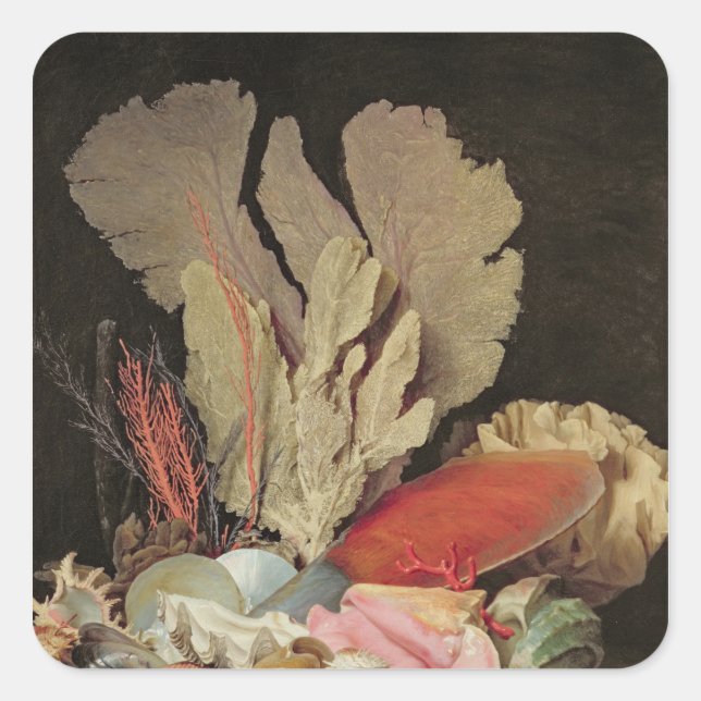 Sticker Carré Algues, lithophytes et coquillages (Devant)