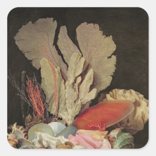 Sticker Carré Algues, lithophytes et coquillages