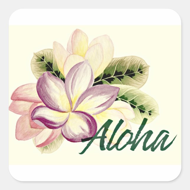 Sticker Carré Aloha Plumeria (Devant)