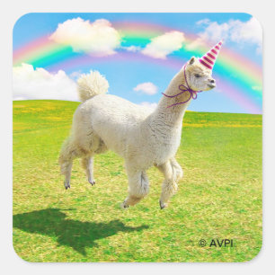 Sticker Carré Alpaca Unicorne sous ciel ciel
