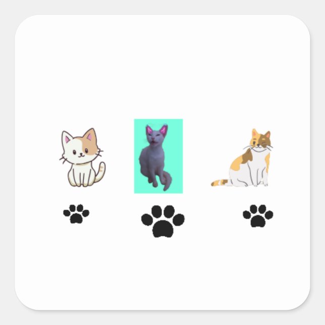 Sticker Carré Amazing cats  (Devant)