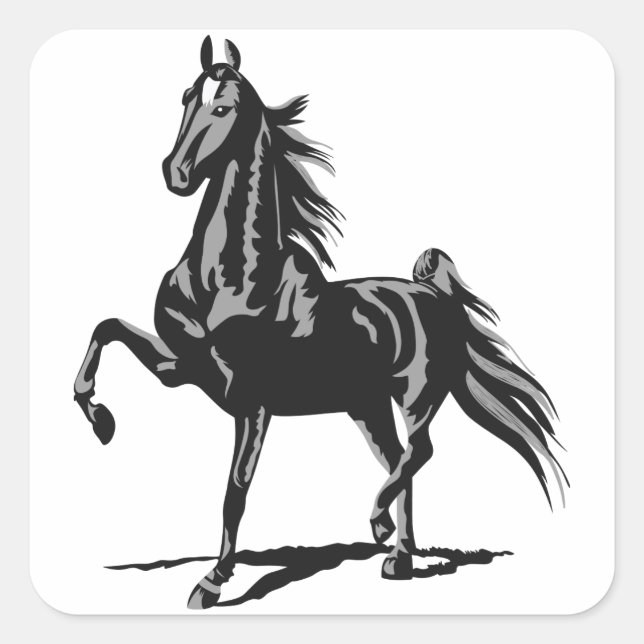Sticker Carré American Saddlebred (Devant)