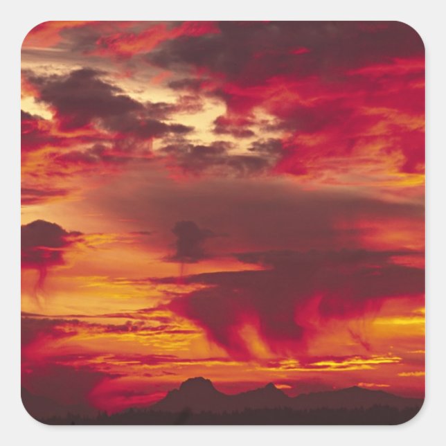 Sticker Carré Amérique du Nord, USA, Washington, Seattle. Soleil (Devant)