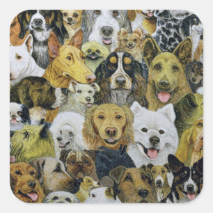 Sticker Carré Amis de chien