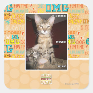 Sticker Carré Amis d'idiot