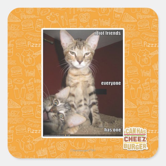 Sticker Carré Amis Idiot (Devant)