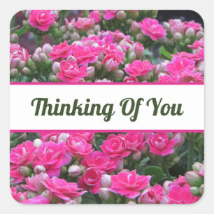 Sticker Carré Amis Joli Jardin Fleurs Roses Penser De Vous