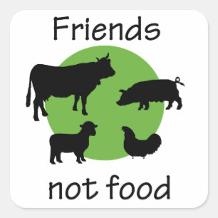Sticker Carré Amis, pas nourriture