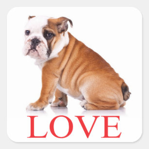 Sticker Carré Amour Anglais Chien Chien Chien Chien Chien Chien 