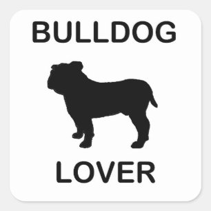 Sticker Carré amoureux de bulldog