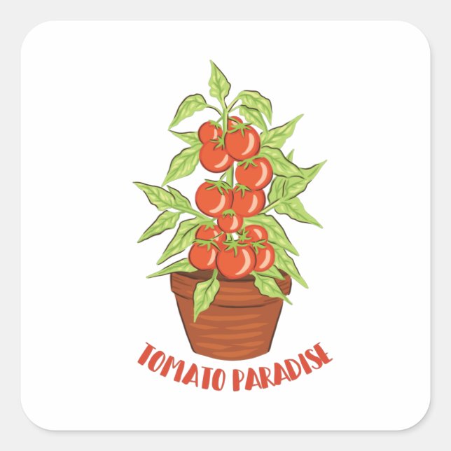 STICKER CARRÉ AMOUREUX DES JARDINS TOMATO PARADISE (Devant)