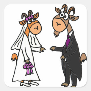 Sticker Carré Amusante mariée et Mariage de chèvre de chambre
