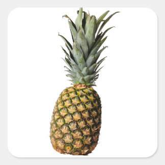 Sticker Carré Ananas