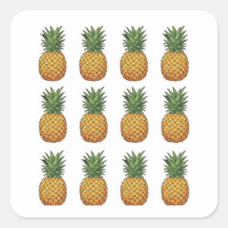 Sticker Carré Ananas 