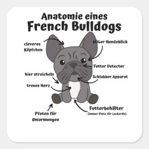 Sticker Carré Anatomie D'Un Chien De Chien De Chien Français Drô