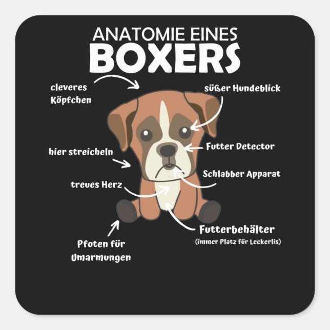 Sticker Carré Anatomie D'Un Chien Doux Boxer Chien Chien Chien C (Devant)