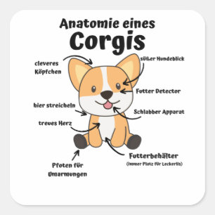 Sticker Carré Anatomie D'Un Corgi Chiens Mignons Chiens Drôle Ch